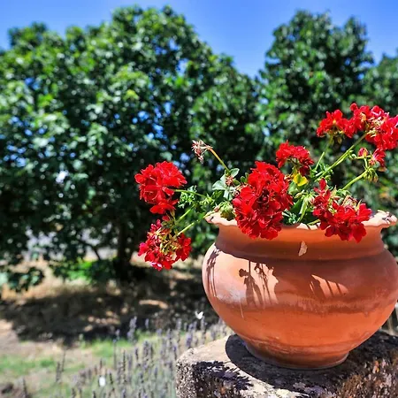 Casale Bivio Luogo Pietraperzia